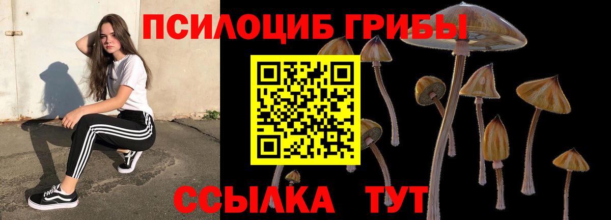 Верхняя Пышма  Псилоцибиновые грибы Magic Shrooms  Вход с VPN  Псилоцибиновые грибы мухоморы 